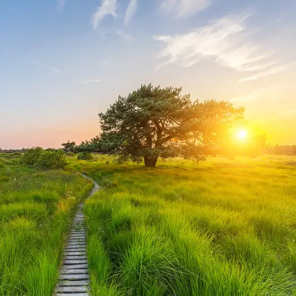 sunset-at-the-hautes-fagnes